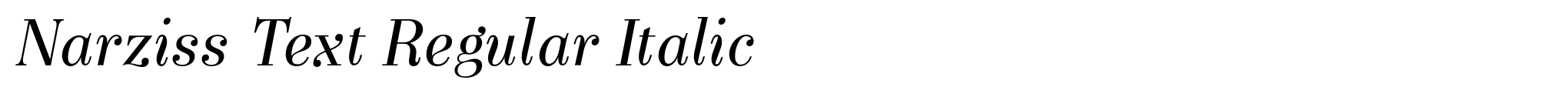 Narziss Text Regular Italic image